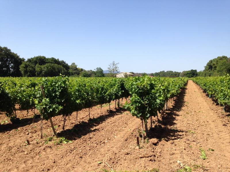 paysagiste pour installation de système d'irrigation de gazon proche Aix en Provence